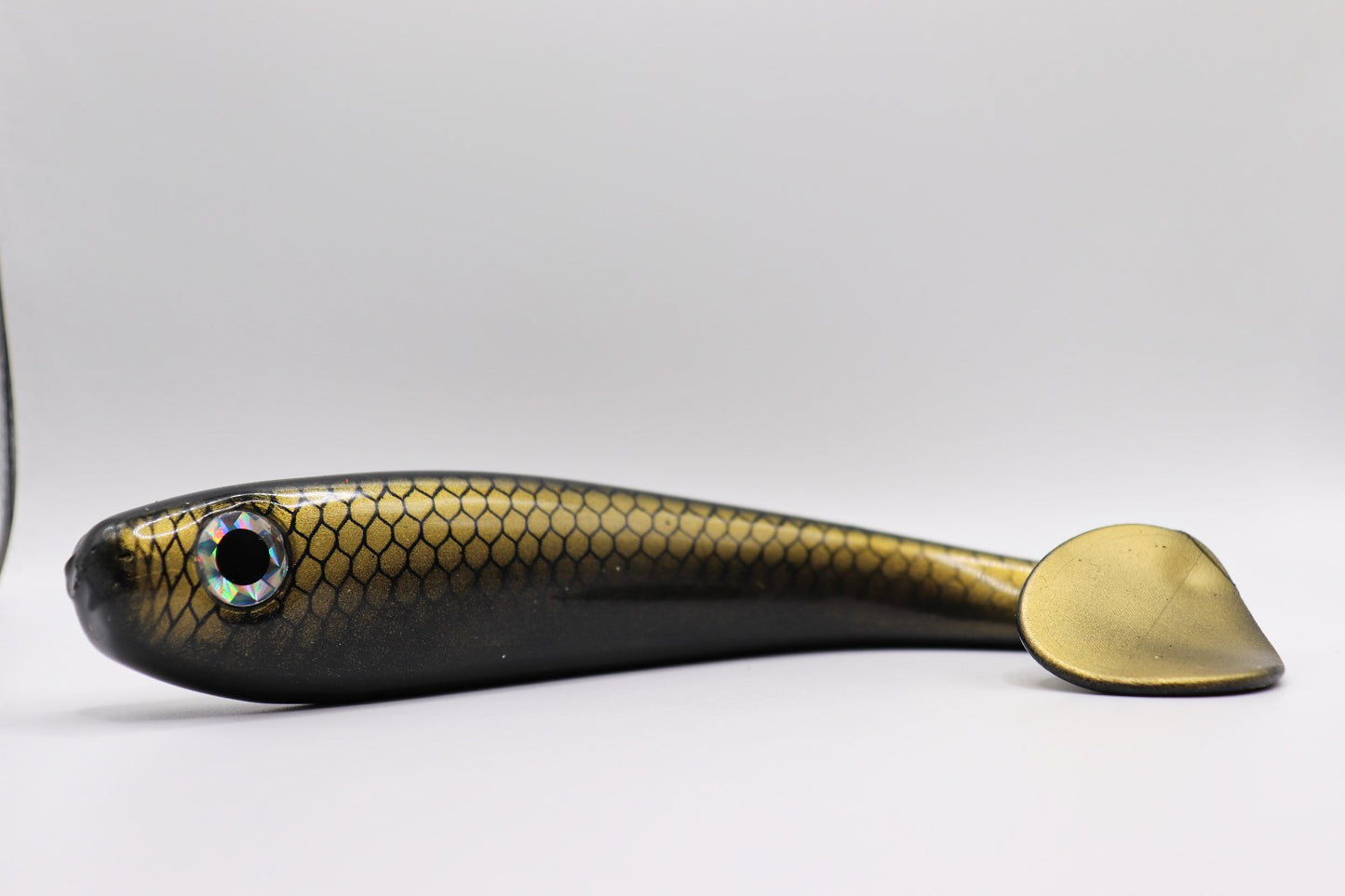 Esox - « Black Pearl »