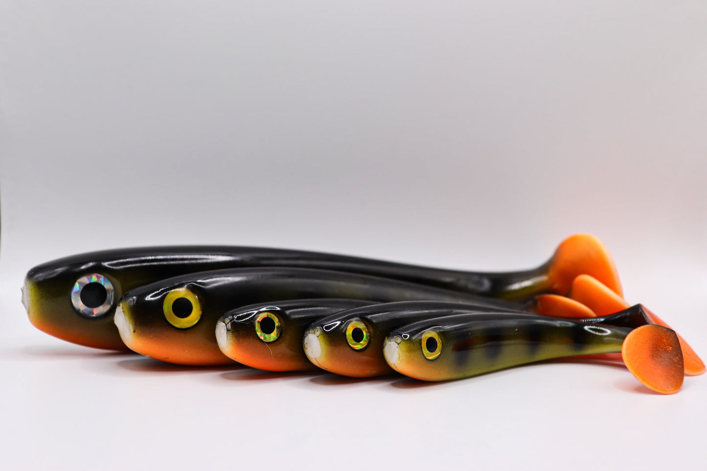 Esox - « Perch pro »