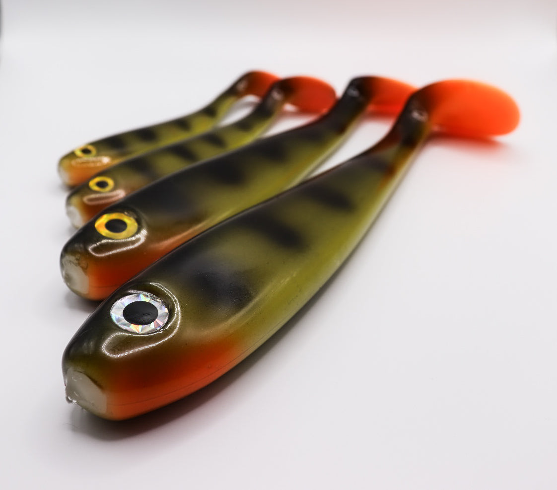 Esox - « Perch pro »