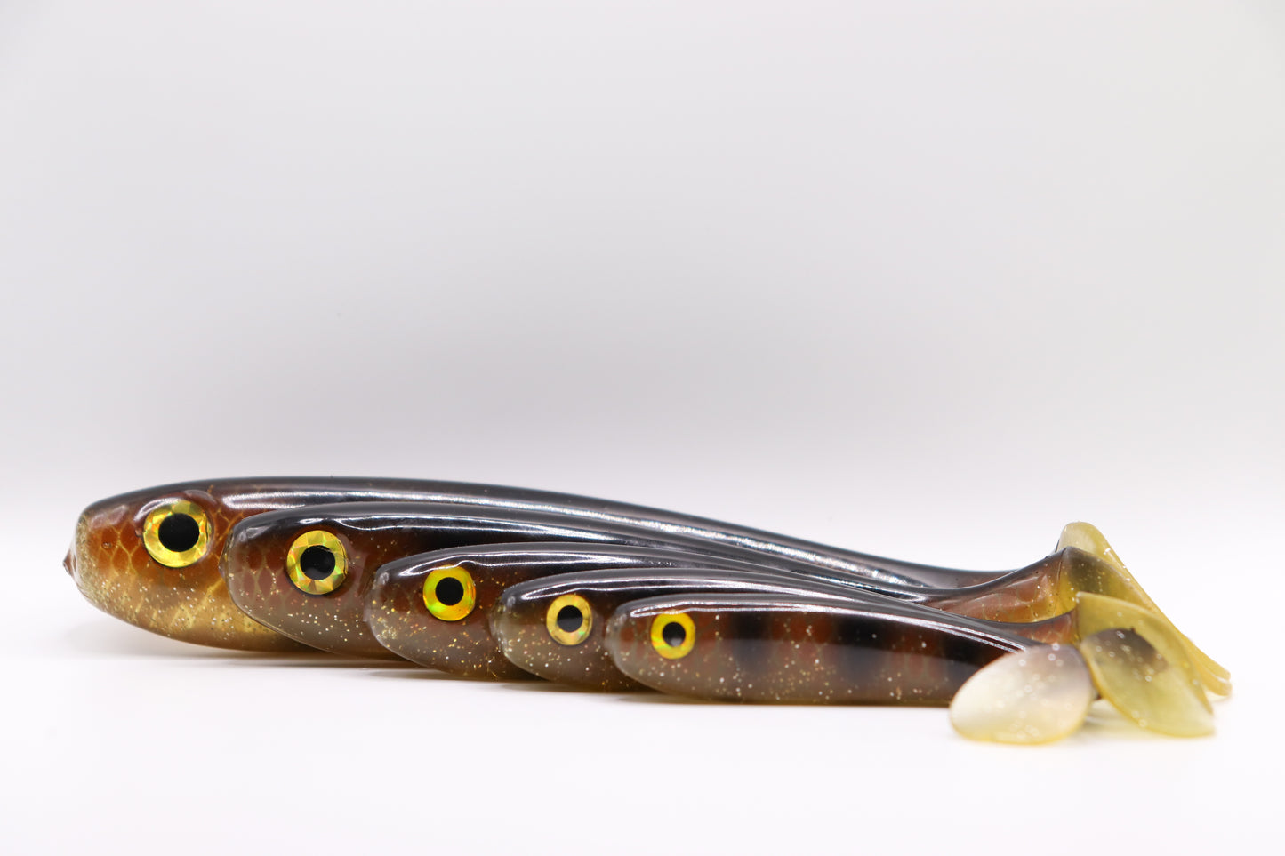 Esox - « Spotted bullhead »