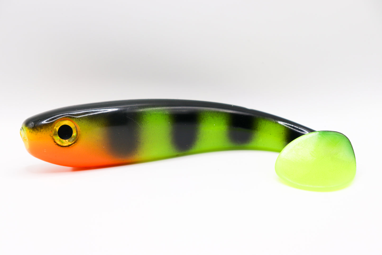 Esox - “Northern Perch”