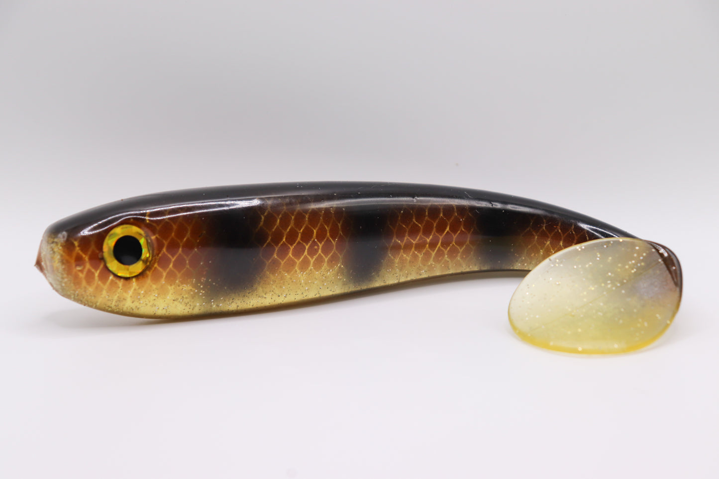Esox - « Spotted bullhead »