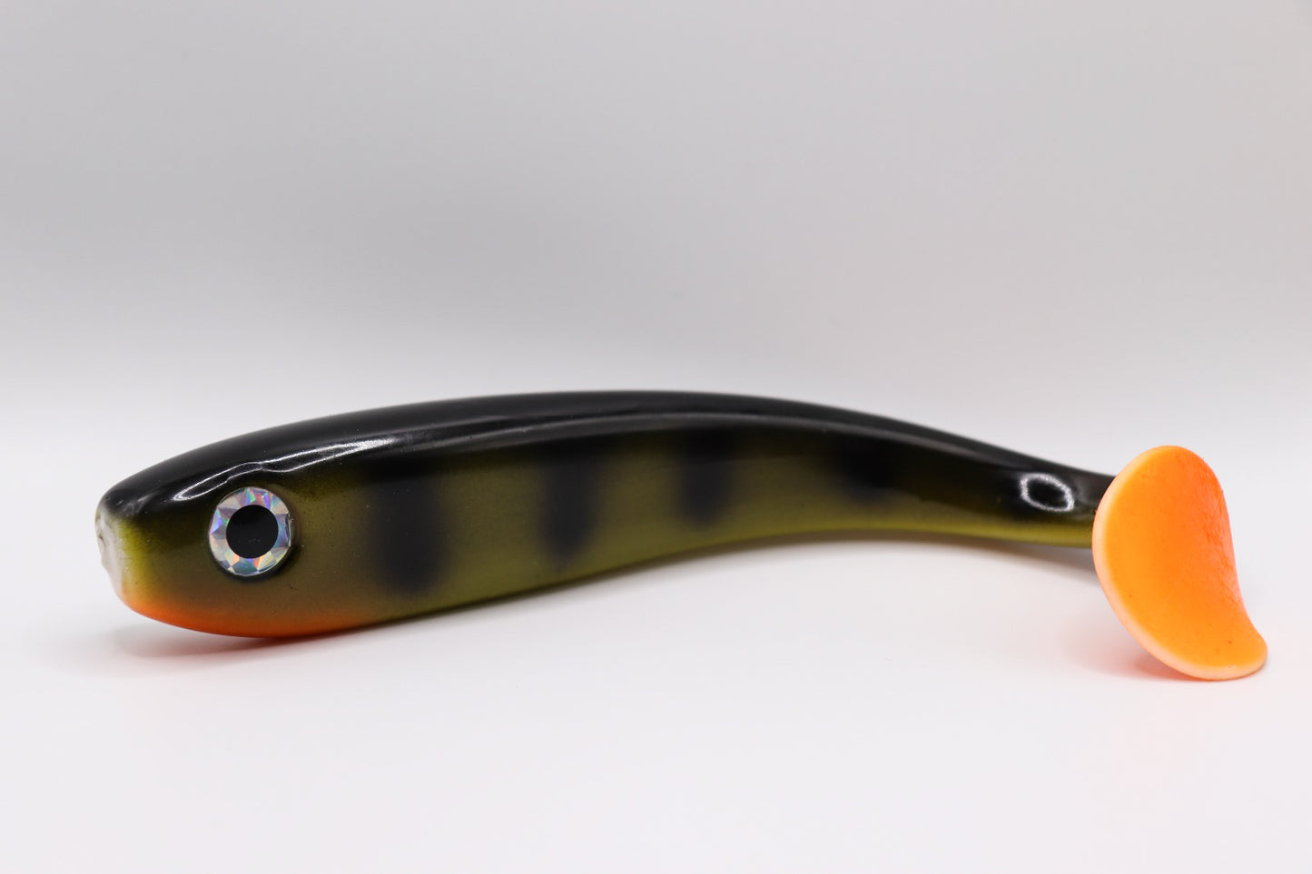 Esox - « Perch pro »