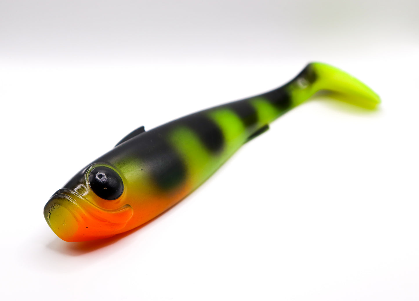 Masko - “Northern Perch”