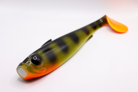 Masko - « Perch Pro »