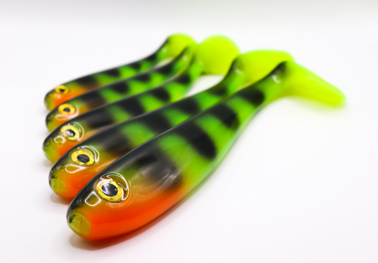 Esox - “Northern Perch”